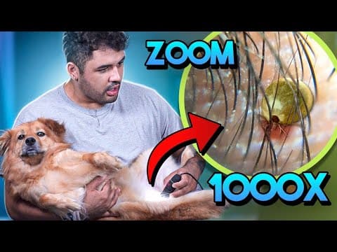 Bruno observa objetos com um microscópio de mil vezes